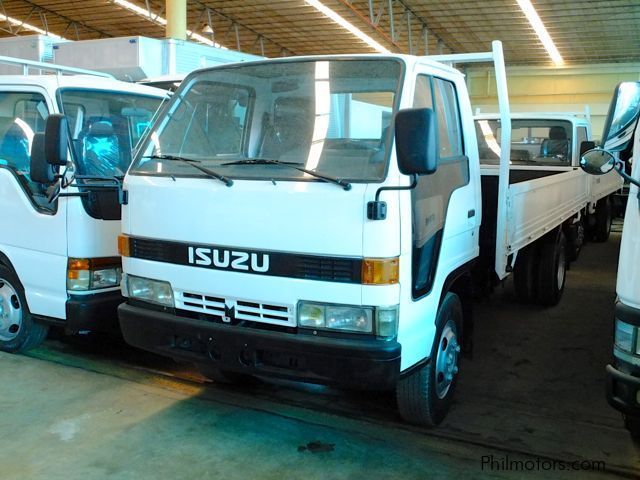 Isuzu ELF Cargo Truck in Philippines