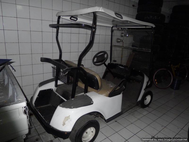 Owner Type Golf Cart in Philippines