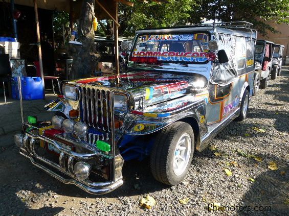 Owner Type Jeep in Philippines