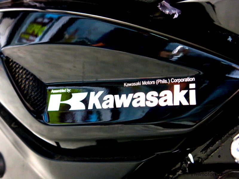 Kawasaki Rouser 180  in Philippines