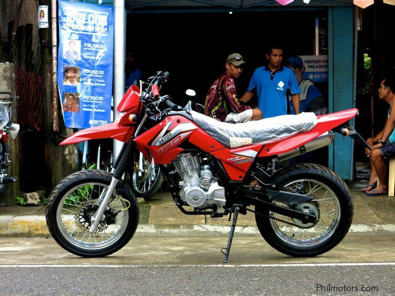 SKYGO Stallion 150 in Philippines