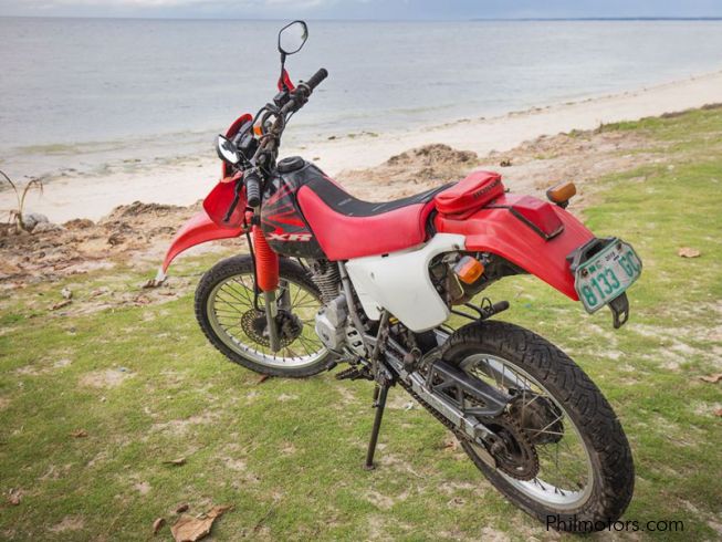 xr 200 price