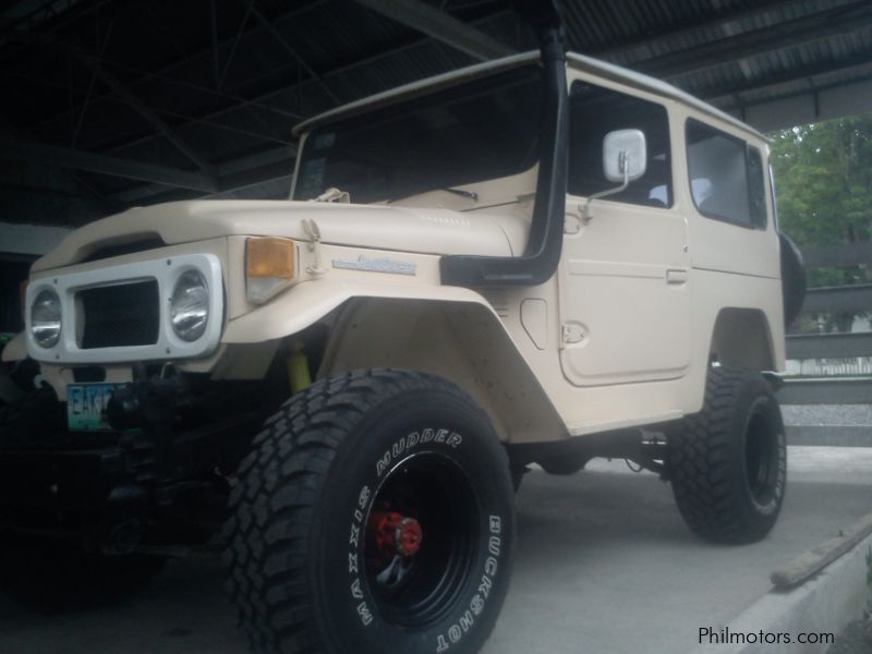 Toyota land cruiser in Philippines