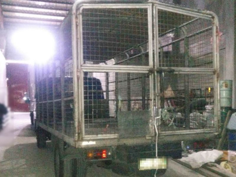 Used Isuzu Truck 1987 Truck for sale Quezon City Isuzu Truck sales