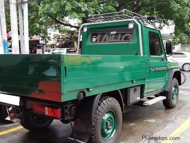 Mercedes-Benz 250GD in Philippines