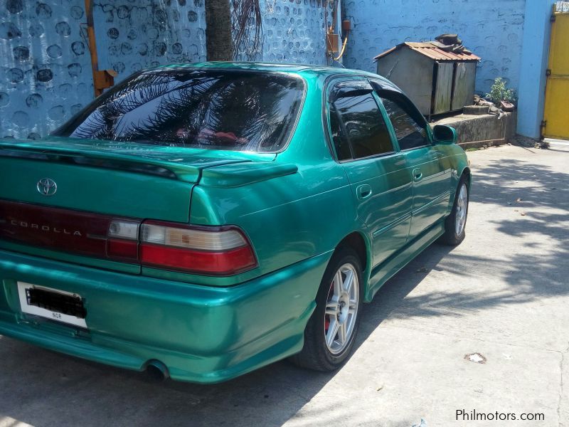 Toyota Corolla Big Body in Philippines