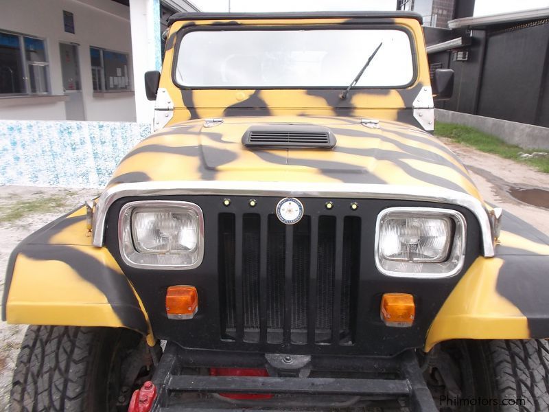 Used Owner Type Jeep | 1998 Jeep for sale | Tarlac Owner Type Jeep sales | Owner Type Jeep Price ...