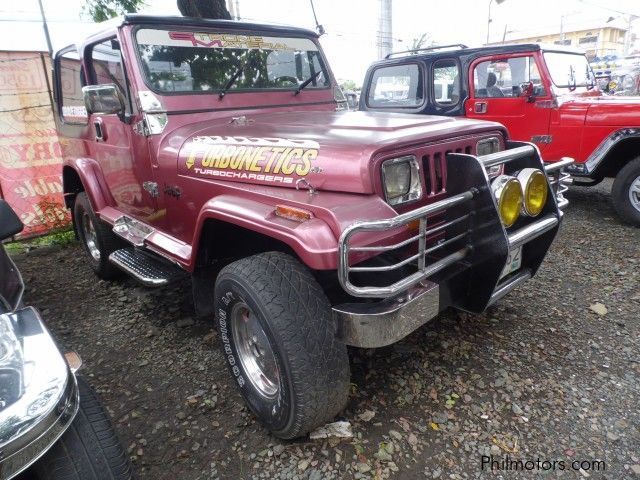 Owner Type Jeep Wrangler in Philippines