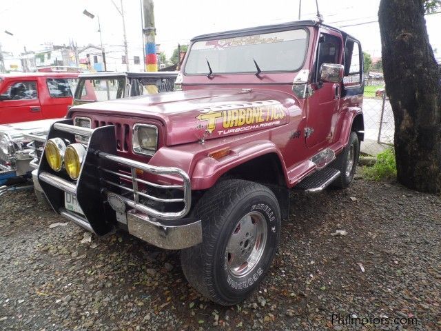 Owner Type Jeep Wrangler in Philippines