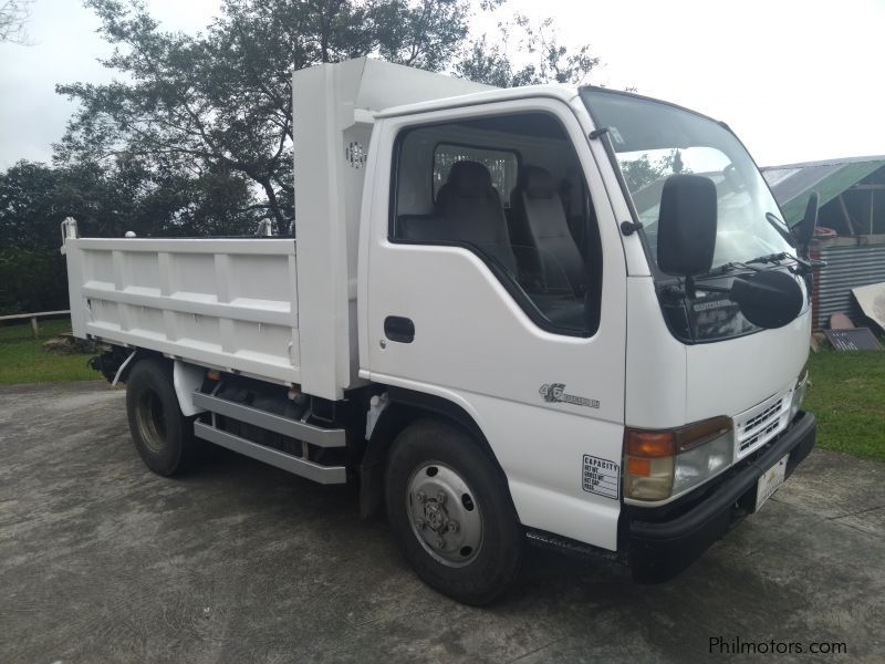 Isuzu Elf Mini Dumptruck in Philippines