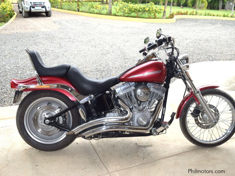 Harley-Davidson FXST in Philippines