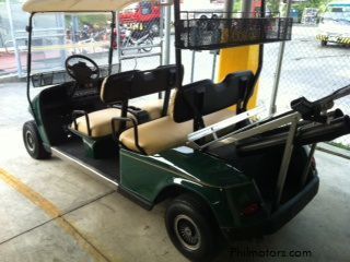 Owner Type golf cart in Philippines