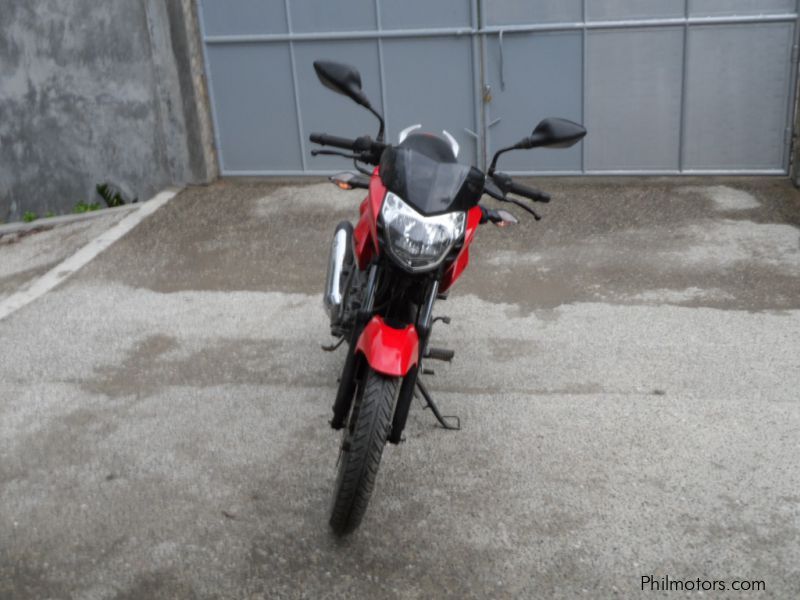 Kawasaki Rouser 135 LS in Philippines