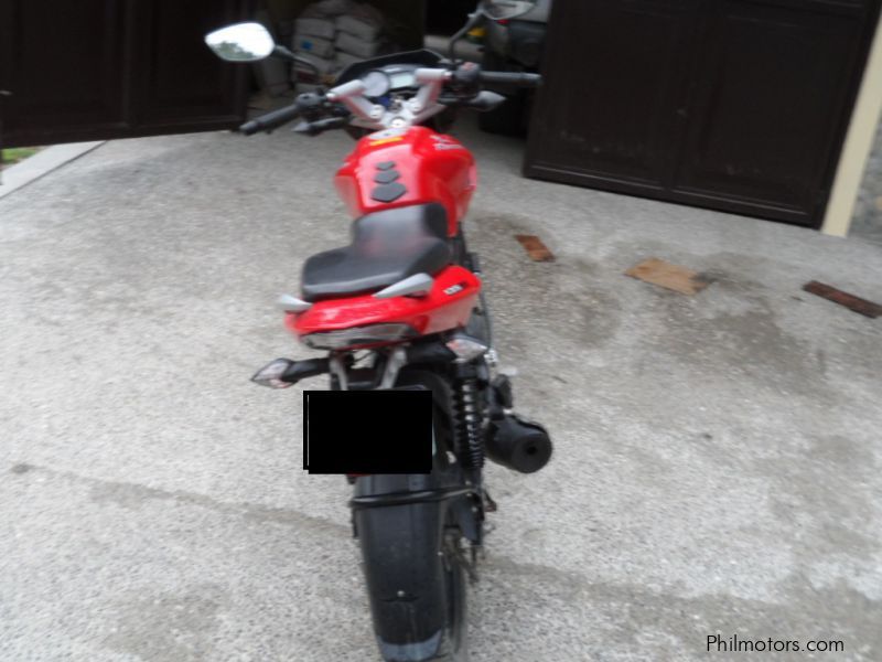 Kawasaki Rouser 135 LS in Philippines