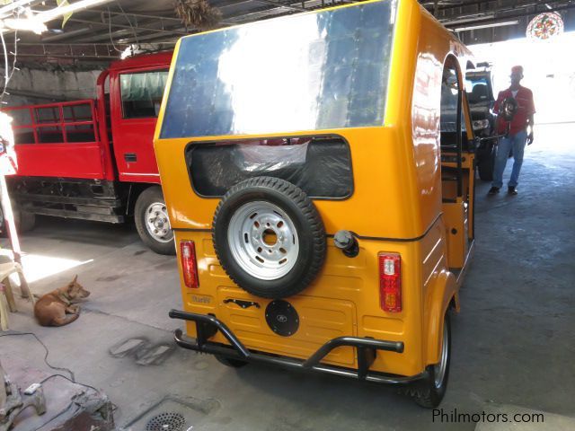 Other Star 8-V Hybrid TukTuk in Philippines