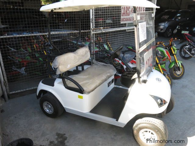 Other star 8 Golf buggy DG-c2 in Philippines