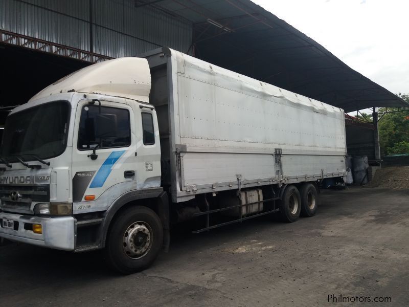 Hyundai Powertech Gold Wing van 14Ton in Philippines