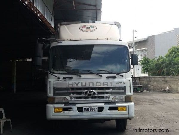 Hyundai Powertech Gold Wing van 14Ton in Philippines