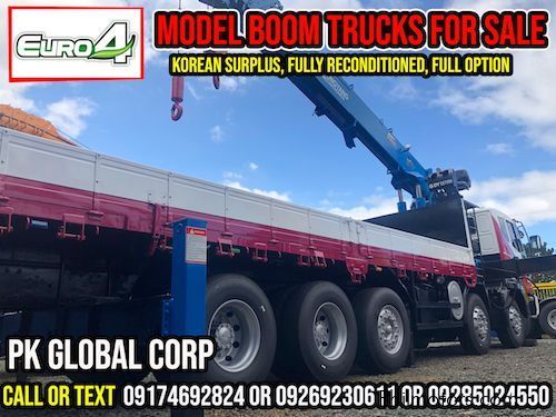 Daewoo Boom Truck / Cargo Crane Truck / Truck Mounted Crane in Philippines