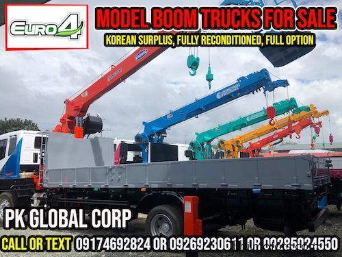 Daewoo Boom Truck / Cargo Crane Truck / Truck Mounted Crane in Philippines