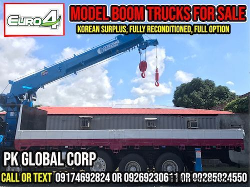 Daewoo Boom Truck / Cargo Crane Truck / Truck Mounted Crane in Philippines