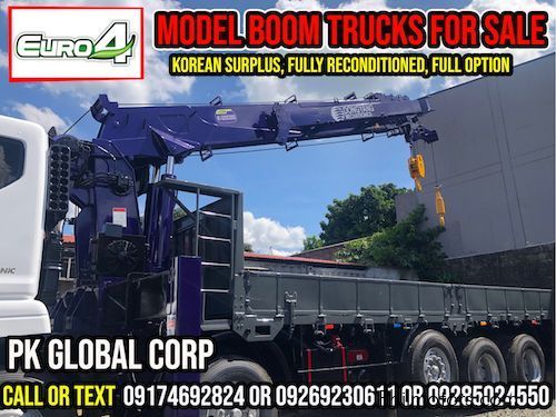 Daewoo Boom Truck / Cargo Crane Truck / Truck Mounted Crane in Philippines