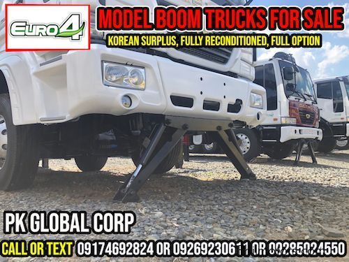 Daewoo Boom Truck / Cargo Crane Truck / Truck Mounted Crane in Philippines