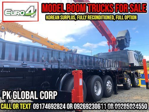 Daewoo Boom Truck / Cargo Crane Truck / Truck Mounted Crane in Philippines