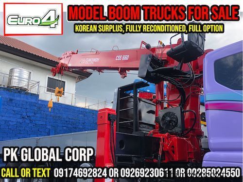 Daewoo Boom Truck / Cargo Crane Truck / Truck Mounted Crane in Philippines