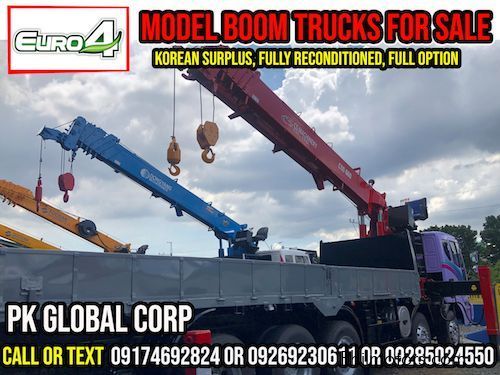 Daewoo Boom Truck / Cargo Crane Truck / Truck Mounted Crane in Philippines