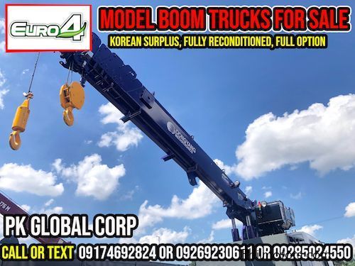 Daewoo Boom Truck / Cargo Crane Truck / Truck Mounted Crane in Philippines