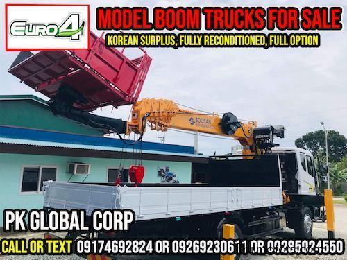 Daewoo Boom Truck / Cargo Crane Truck with Man Lift Basket in Philippines