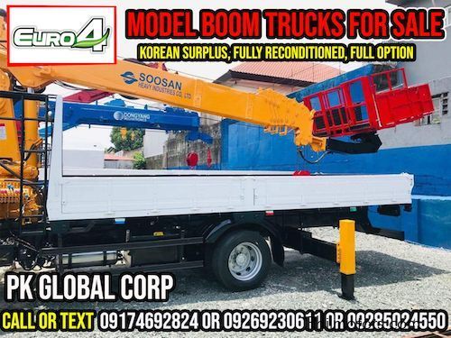 Daewoo Boom Truck / Cargo Crane Truck with Man Lift Basket in Philippines