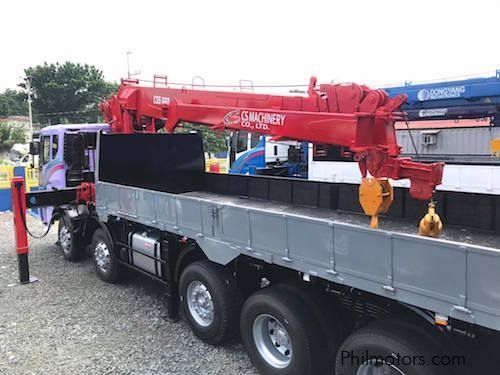 Daewoo Boom Truck 25 tons in Philippines