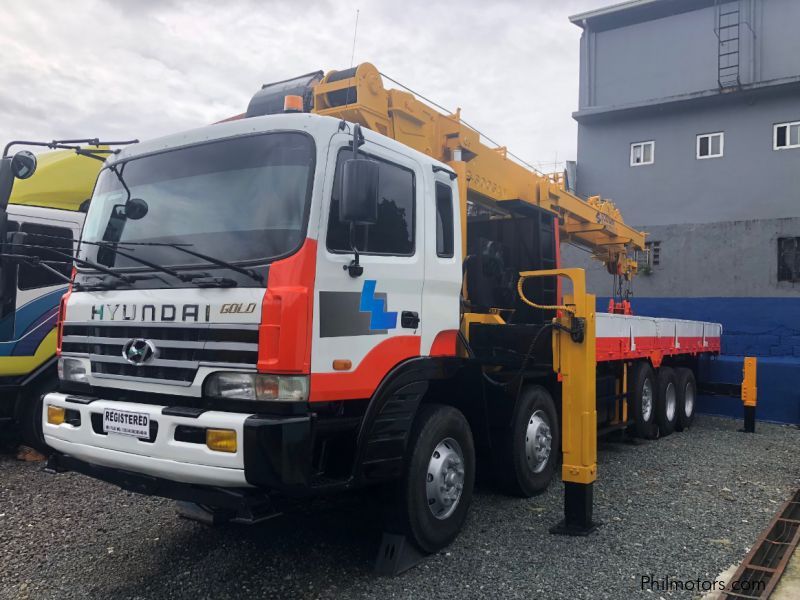 Hyundai Boom Truck / Cargo Crane Truck / Truck Mounted Crane in Philippines