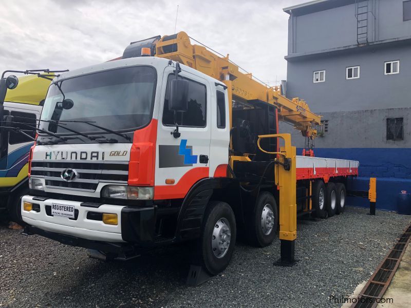 Hyundai boom truck 20 tons in Philippines