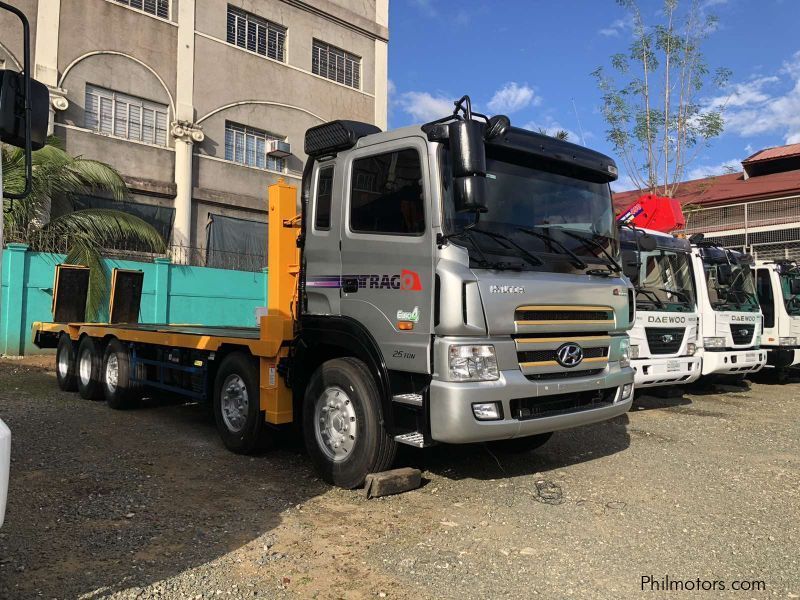 Hyundai BOOM TRUCK/ CARGO CRANE TRUCK in Philippines