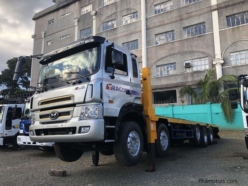 Hyundai BOOM TRUCK/ CARGO CRANE TRUCK in Philippines