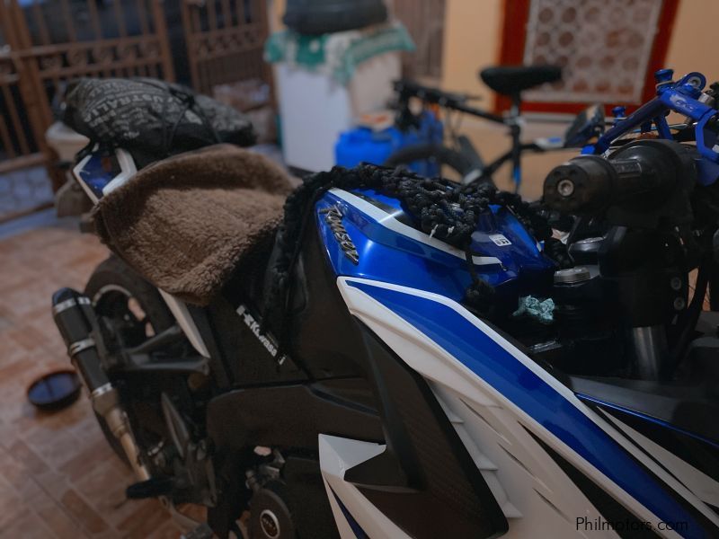 Kawasaki ROUSER 200 in Philippines