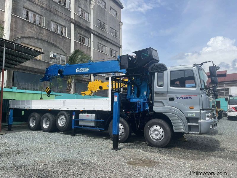 Hyundai BOOM TRUCK in Philippines