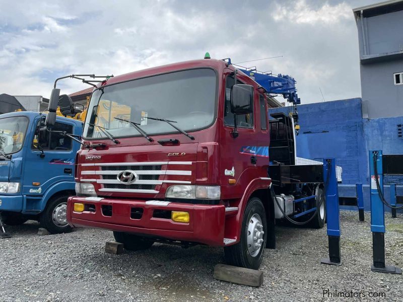 Hyundai BOOM TRUCK in Philippines