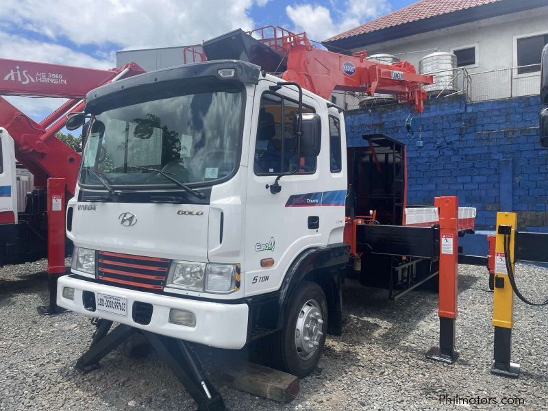 Hyundai BOOM TRUCK in Philippines