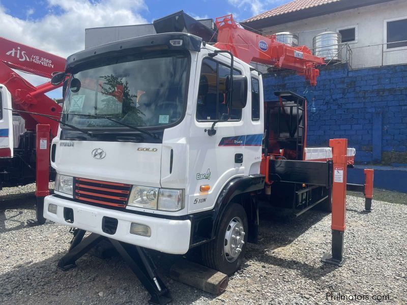 Hyundai BOOM TRUCK in Philippines