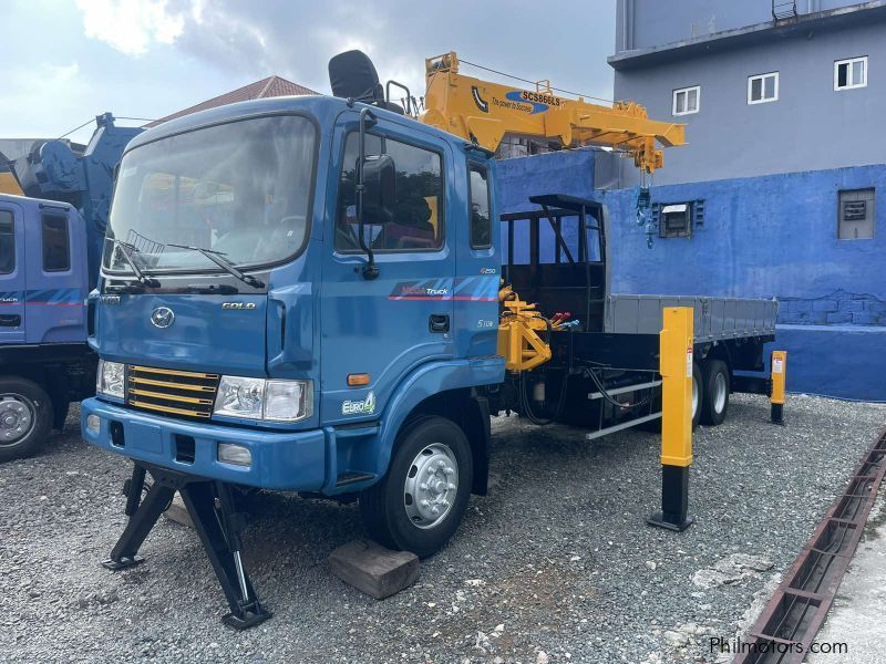 Hyundai BOOM TRUCK in Philippines