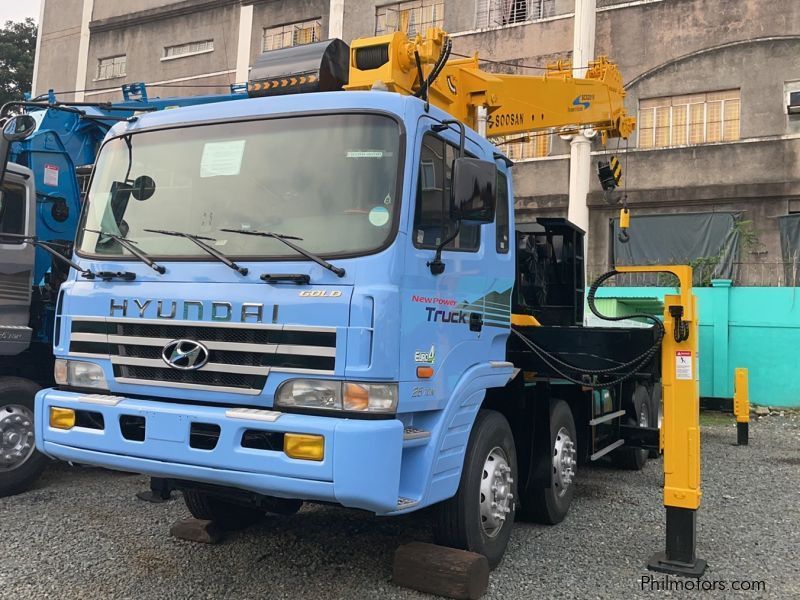 Hyundai BOOM TRUCK in Philippines