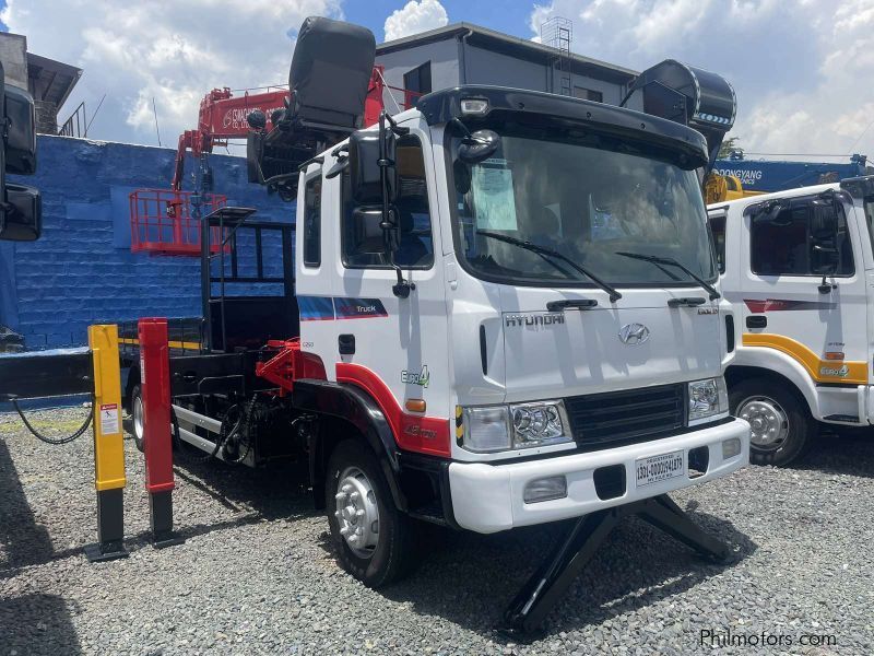 Hyundai BOOM TRUCK in Philippines