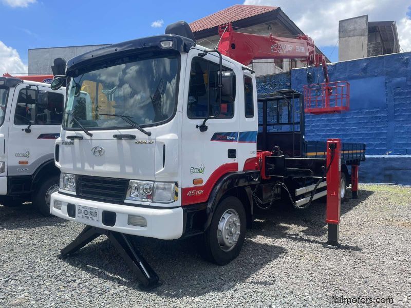 Hyundai BOOM TRUCK in Philippines