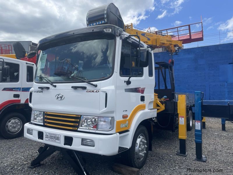 Hyundai BOOM TRUCK in Philippines