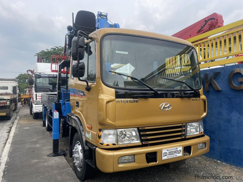 Hyundai BOOM TRUCK in Philippines