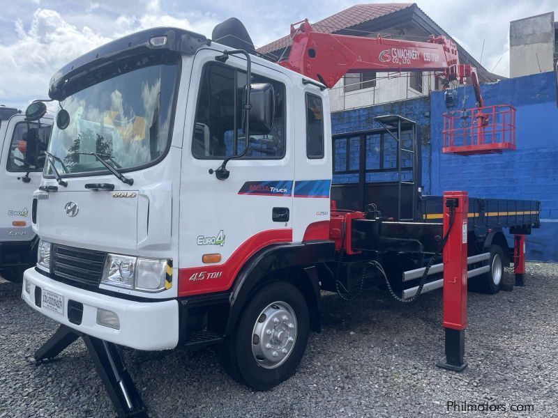 Hyundai BOOM TRUCK in Philippines